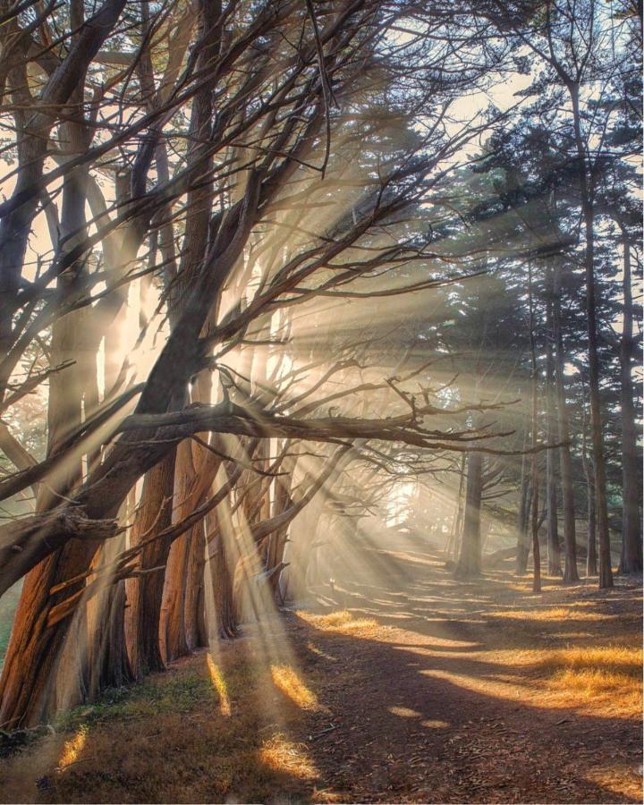 Stunning Oceanview Coastal Home Beach Trails Family Activities Montara Luaran gambar