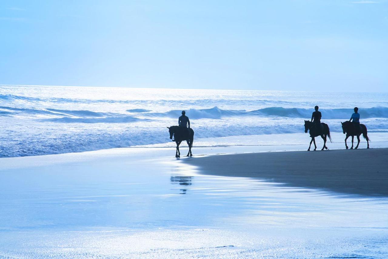 Stunning Oceanview Coastal Home Beach Trails Family Activities Montara Luaran gambar